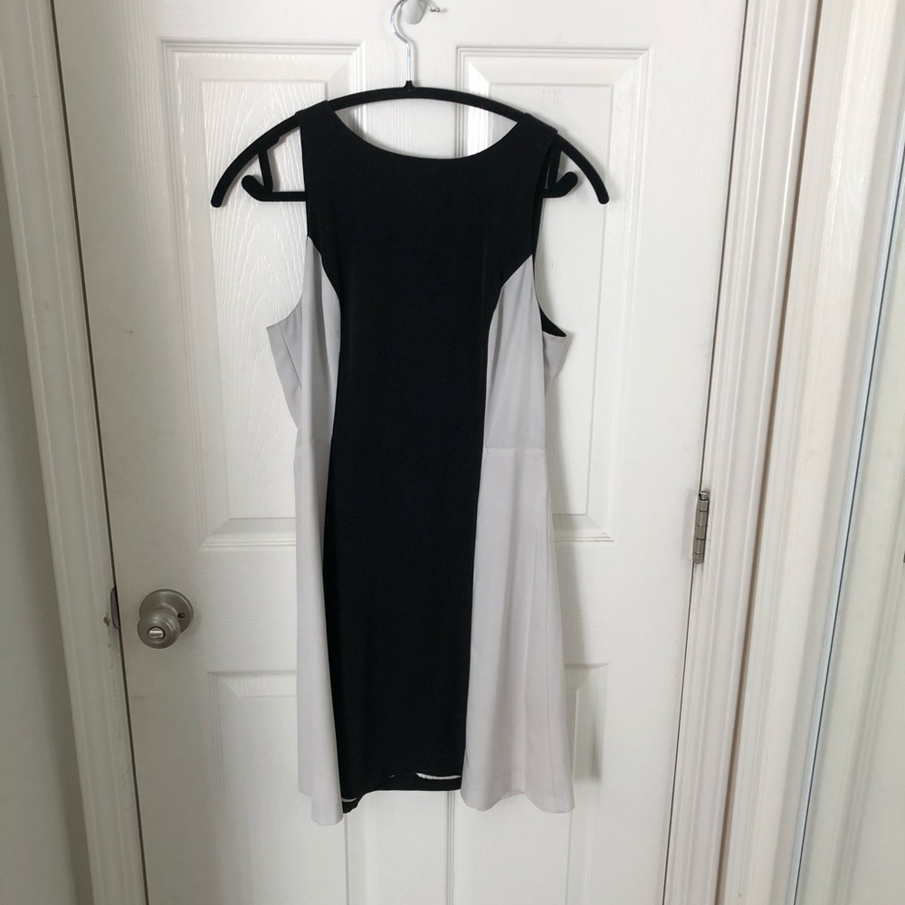 BB Dakota Dress
